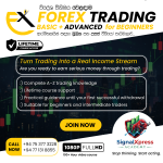 SignalXpress A to Z Trading Course